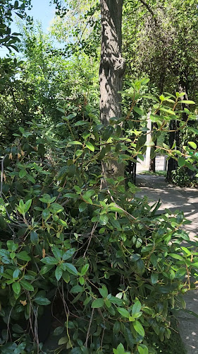 Ambrosia Restaurant - Gastronomía y hostelería