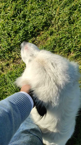 Cerveza 860 - Restaurante y Barra Cervecera - Gastronomía y hostelería