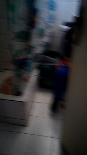 Amasanderia "Laguna Sur" - Pudahuel