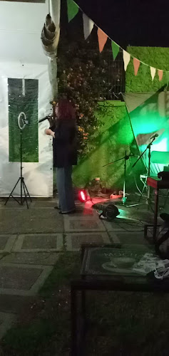 Domingo Tocornal 254, 8210074 Puente Alto, Región Metropolitana