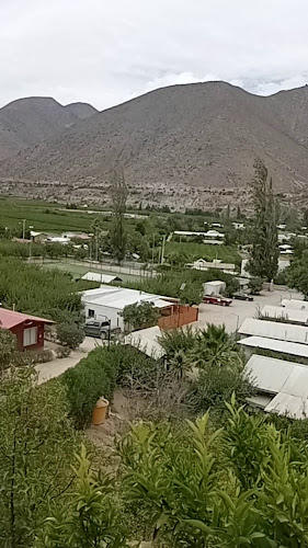 Reviews of Jopia restaurant in Chillepin - Gastronomía y hostelería