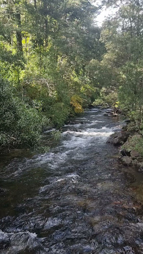 Comentarii opinii despre Termas Quilalelfu