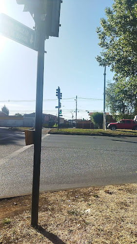 DC - Restaurant Don Camarón - Temuco