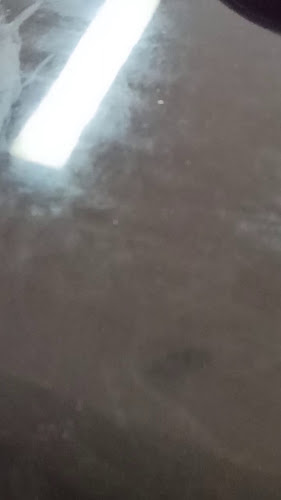 Date Con todo Burguer grill - Gastronomía y hostelería