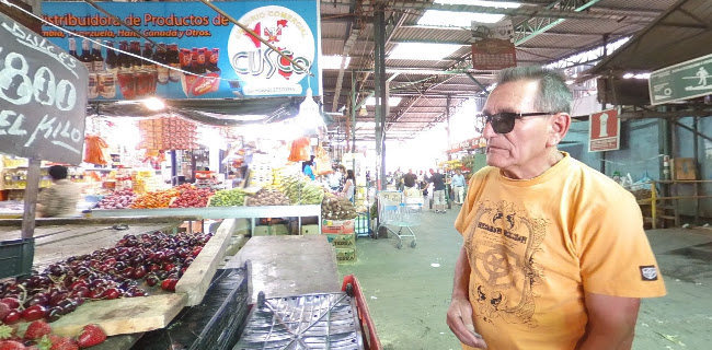 Dávila Baeza 700, Recoleta, Región Metropolitana