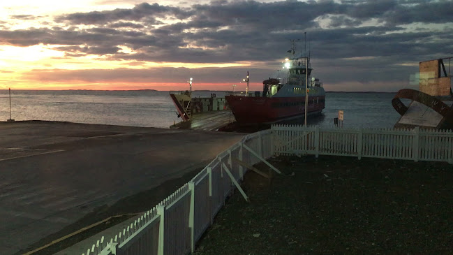Oveja negra resto bar - Punta Arenas