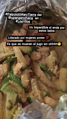 Üpangen Chena - Los Vilos