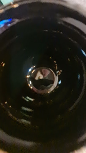 Opinii despre Alzahir în Santiago - Gastronomía y hostelería