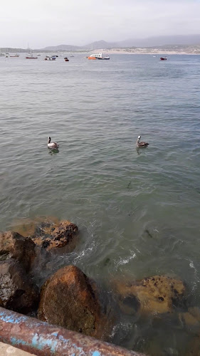 1940118 Pichidangui, Los Vilos, Coquimbo