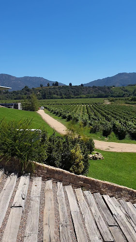 Opinii despre Viña Montes Alpha în Santa Cruz - Gastronomía y hostelería