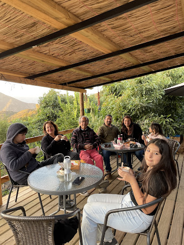 Encantos de Colliguay: Helados artesanales y venta de plantas ornamentales. - Quilpué