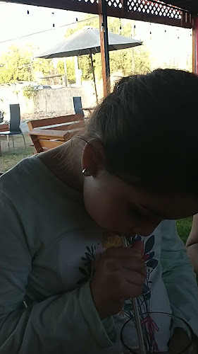 Comentarii opinii despre La Plancha