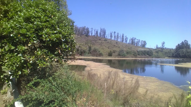 Restaurant El Plateado