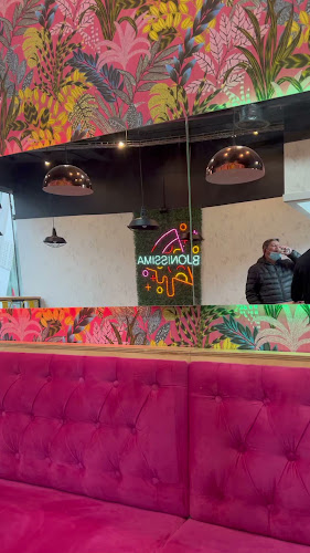 Buonissima Pizzería