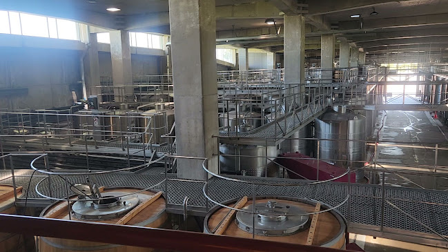 Viña Montes Alpha - Gastronomía y hostelería