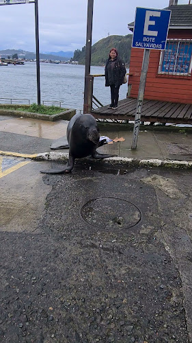 Opinii despre Restaurant La primavera în Puerto Montt - Gastronomía y hostelería