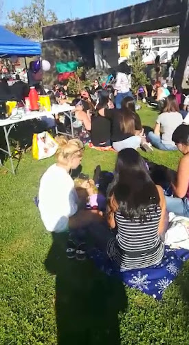 Comentarii opinii despre Bar Nómade