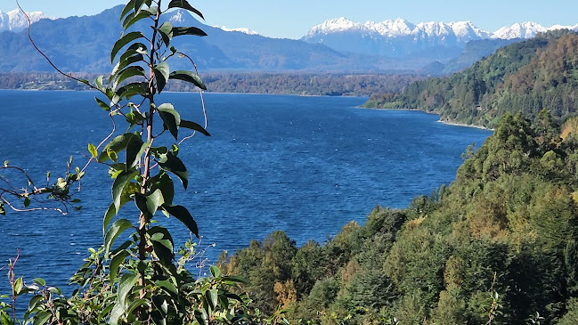 Cafe De Luis - Gastronomía y hostelería