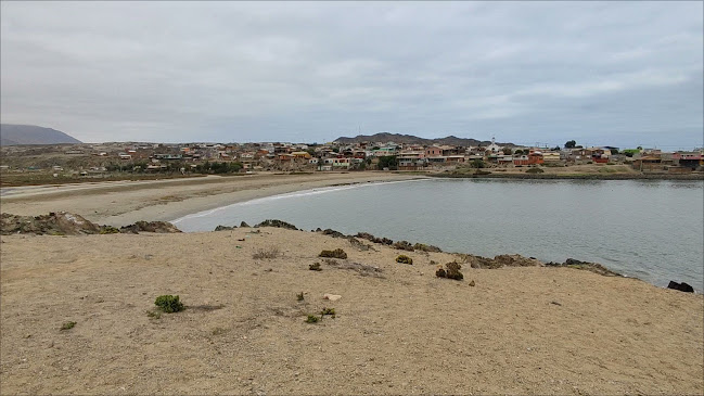 Carrizal Bajo - Vallenar