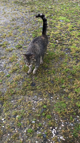 Mirador De Mechaico - Restaurant y Cabañas