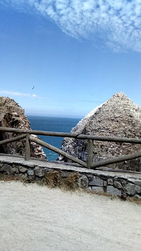 Comentarii opinii despre Assu On