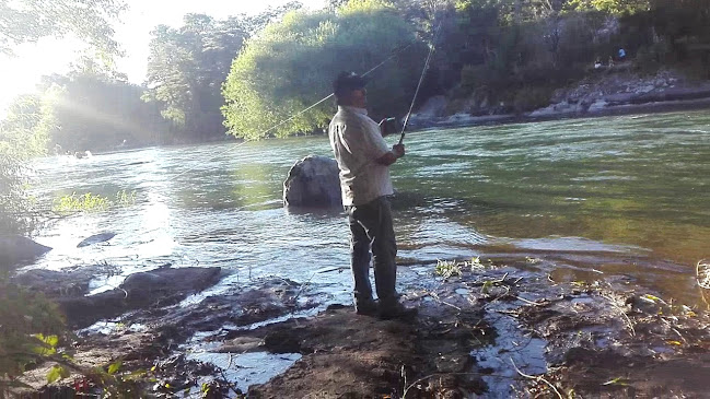 Opinii despre ARBOL PUCON în Pucon - Gastronomía y hostelería