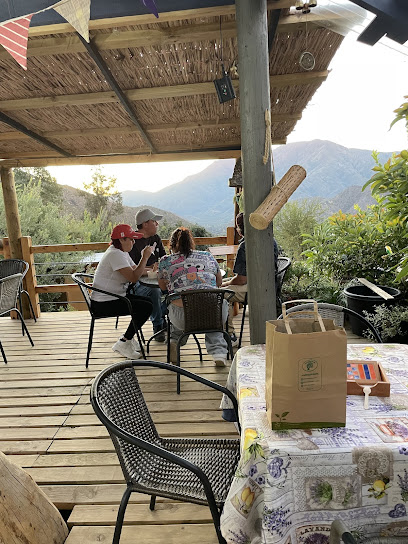 Encantos de Colliguay: Helados artesanales y venta de plantas ornamentales.