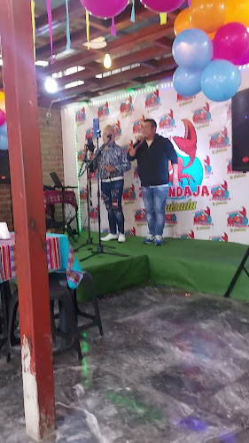Restaurante Zarandaja (Comida Peruana) - Conchalí