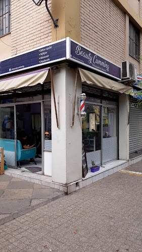 Av. Ricardo Cumming 152, 8350538 Santiago, Región Metropolitana