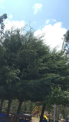 Hornitos Del Alto - Tome