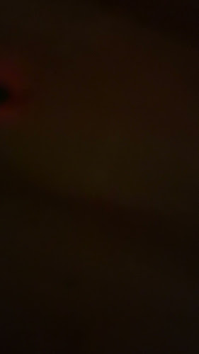 Opinii despre The Travellers Resto Bar în Villarrica - Gastronomía y hostelería