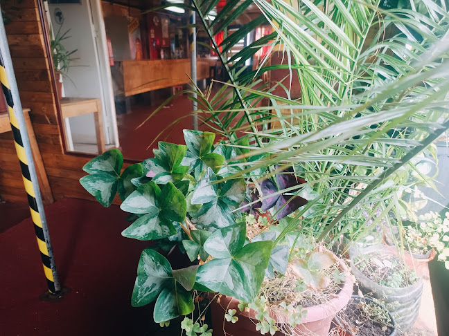 BAR EL TREBOL - Gastronomía y hostelería