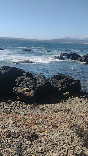 Los Vilos Restaurant - Coquimbo