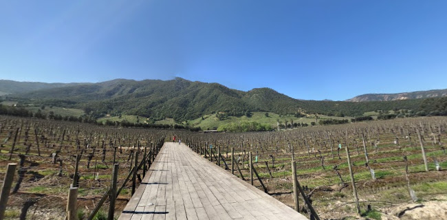 Opinii despre Fuegos de Apalta în Santa Cruz - Gastronomía y hostelería