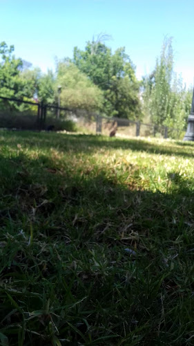 Comments and reviews of Fortunata