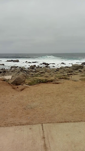 Comentarii opinii despre Terrazas Punta De Tralca