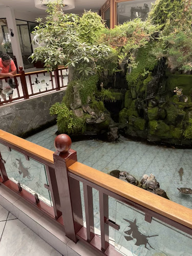 Opinii despre Restaurant Jardín Chino în La Florida - Gastronomía y hostelería