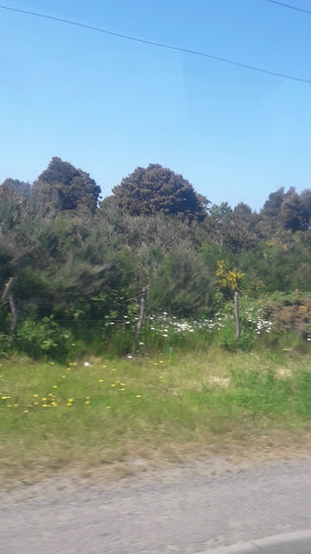 Opinii despre Planta Salmones Aysén Ancud în Ancud - Gastronomía y hostelería