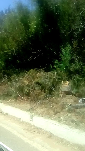 El Galeón Phone number