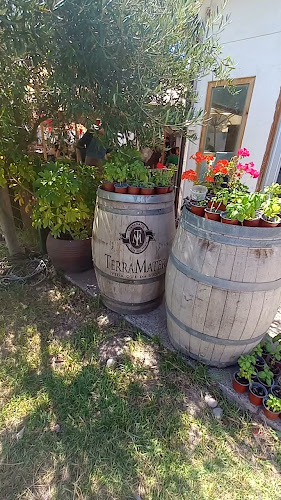 Restaurante Zinfandel