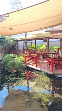 Restaurant Oriental - Gastronomía y hostelería