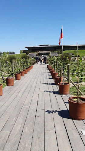 Comentarii opinii despre Fuegos de Apalta