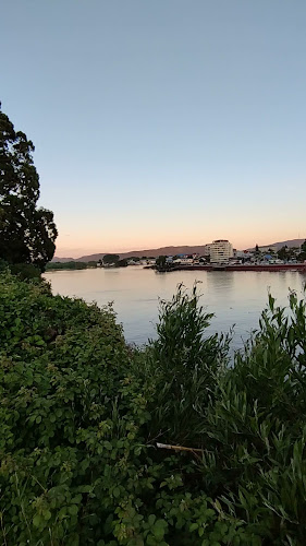 Otto Sandwich Valdivia - Gastronomía y hostelería