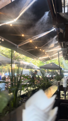 Tio Tomate Mañio - Vitacura