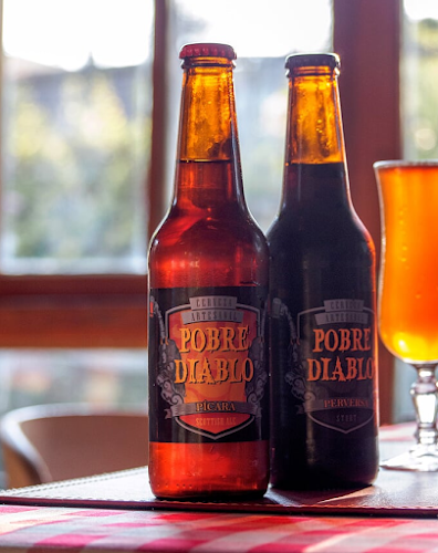 Las Chilcas Sur 8558, 8280498 Santiago, La Florida, Región Metropolitana