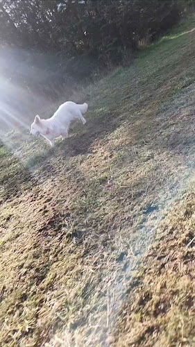 Onas Restaurante - Pucon