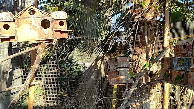 Arica, Arica y Parinacota