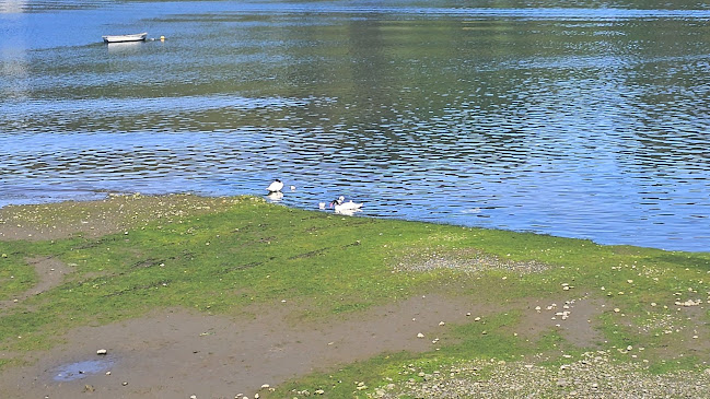 Restaurant La primavera