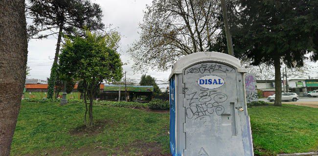 Venta de Verduras la Veguita