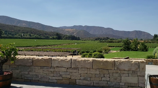 Opinii despre Viña Montes Alpha în Santa Cruz - Gastronomía y hostelería